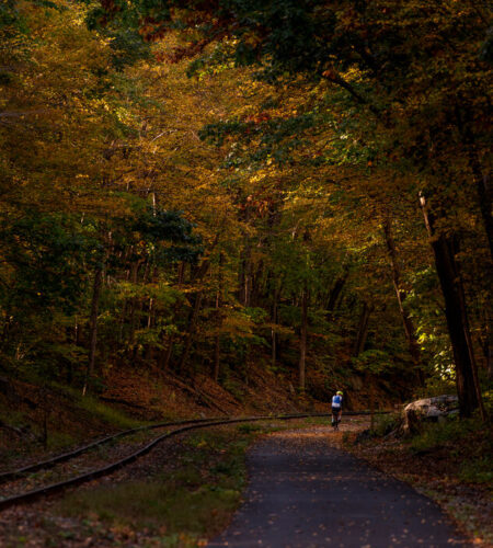 New York’s 750-Mile Bicycle Route