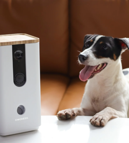 High-Tech Pet Gadgets