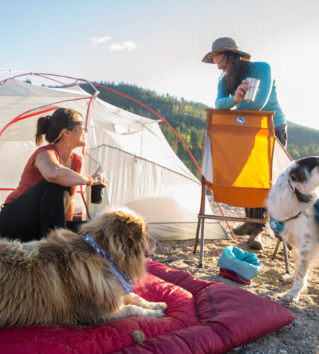 Camping with a Dog