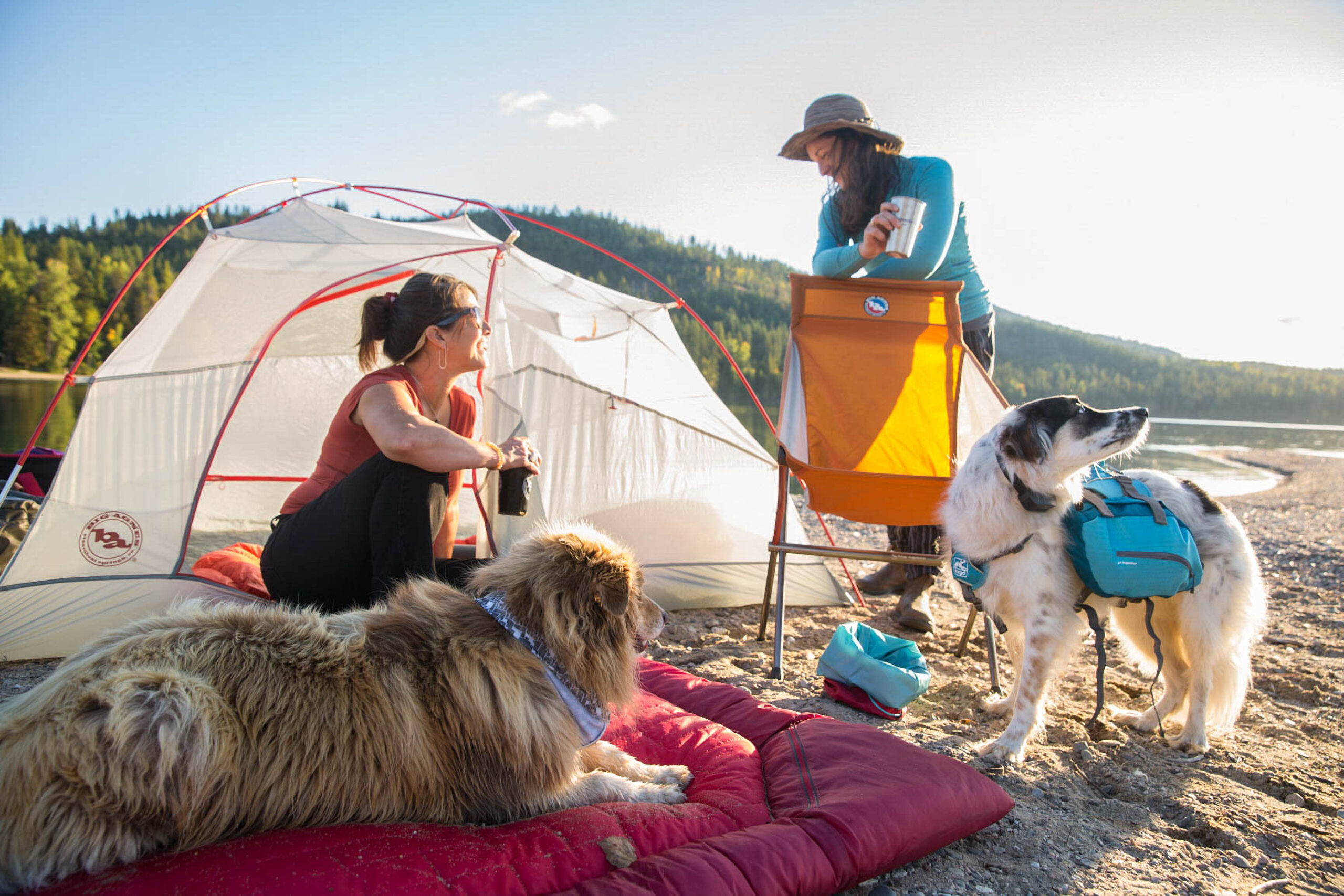 Camping with a Dog