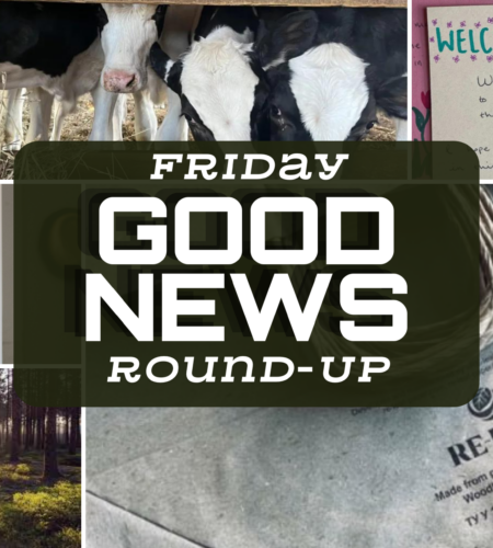 Friday Good News Round-Up