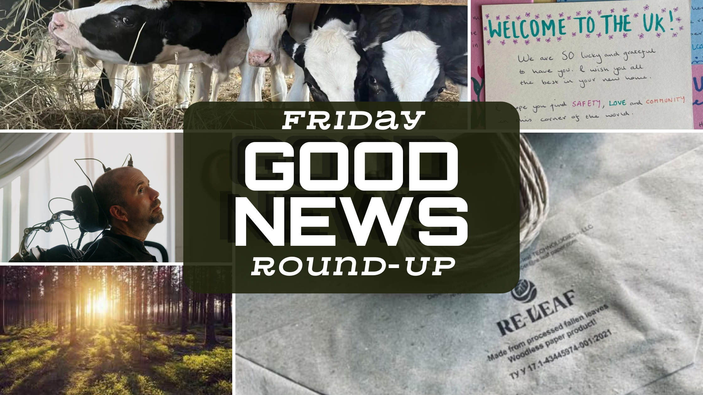 Friday Good News Round-Up