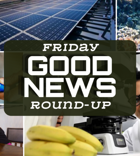 Friday Good News Roundup: Uplifting Stories of Progress and Innovation