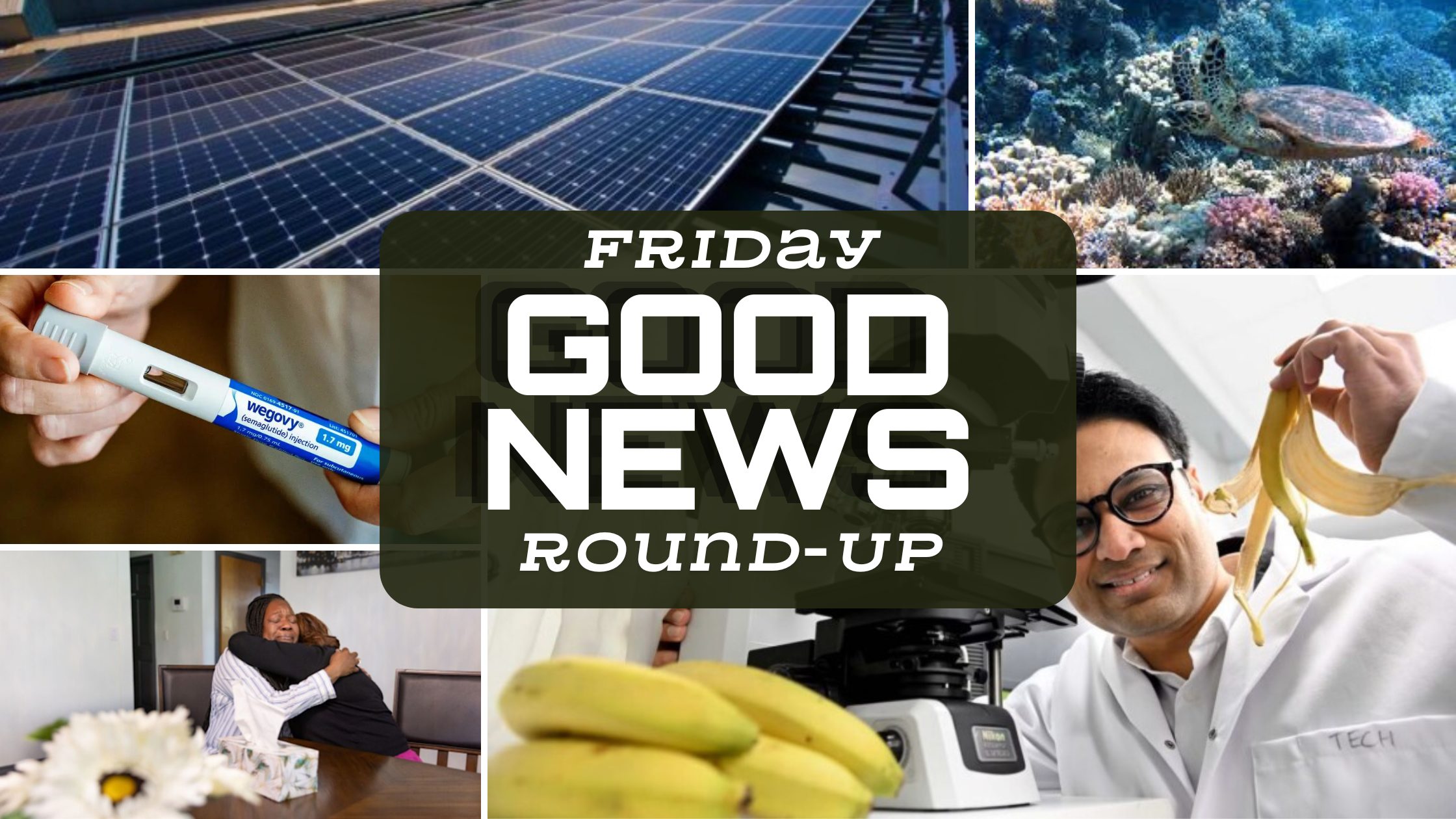 Friday Good News Roundup: Uplifting Stories of Progress and Innovation