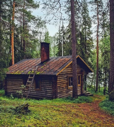 a cottage in the woods