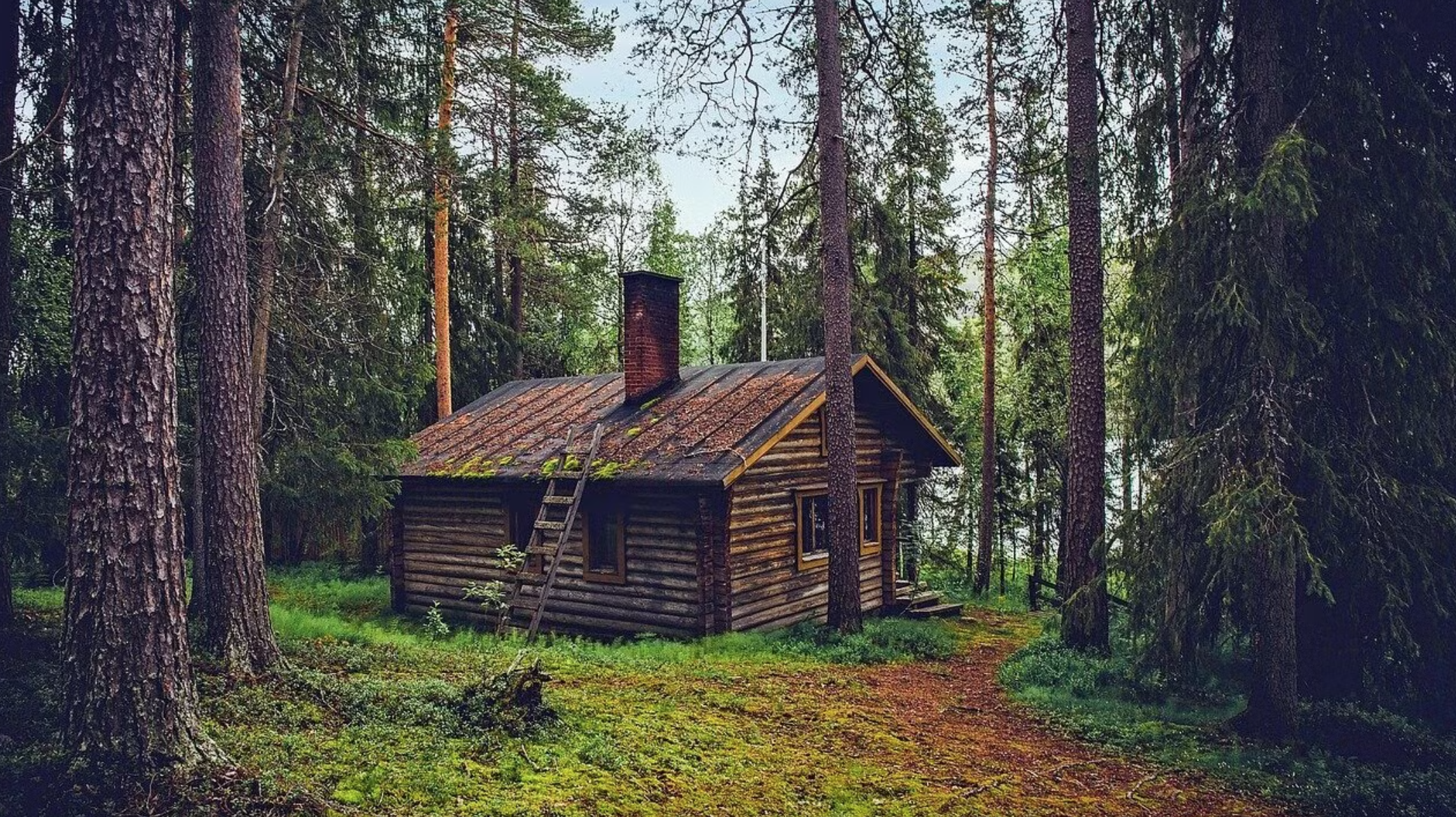 a cottage in the woods