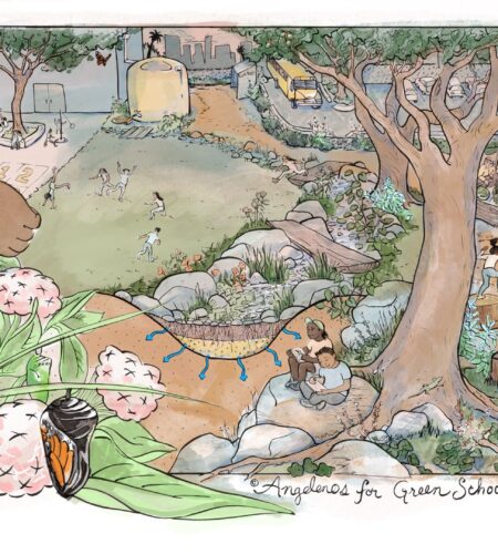 The Transformative Power of Greener Schoolyards: A Pathway to Thriving Communities