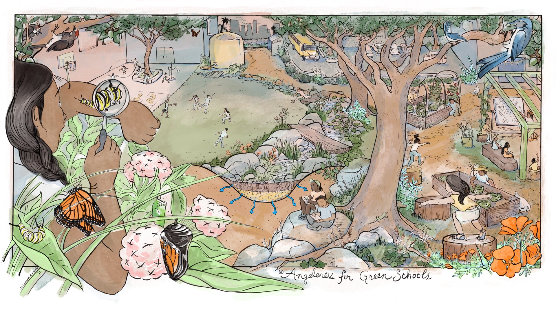 The Transformative Power of Greener Schoolyards: A Pathway to Thriving Communities