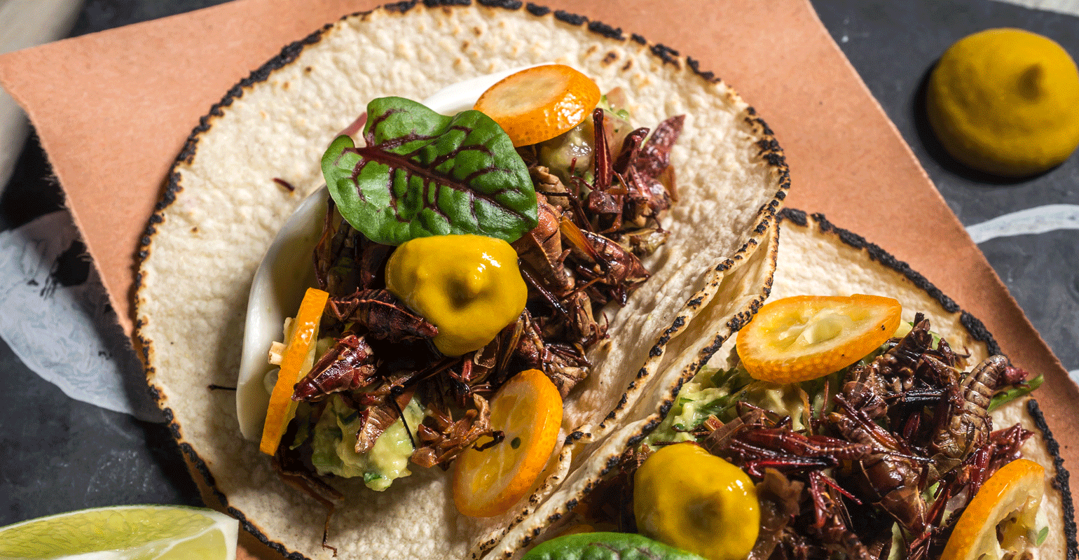 The Rise of Insect-Eating Cuisine in the U.S.