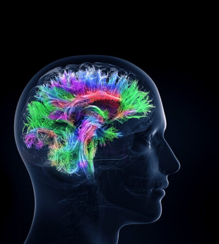 Decoding the Brain: What We Need to Know About How We Think