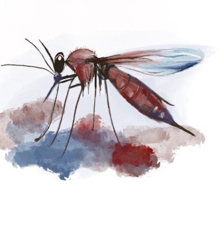 Understanding Eastern Equine Encephalitis: The New Dangerous Mosquito-Borne Illness