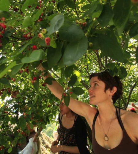 The Art of Urban Foraging