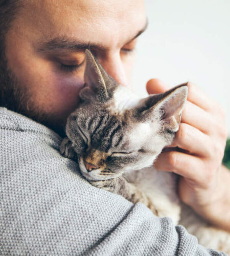 Cats Experience Grief