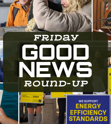 Friday Good News Round-Up: A Week of Positive Change