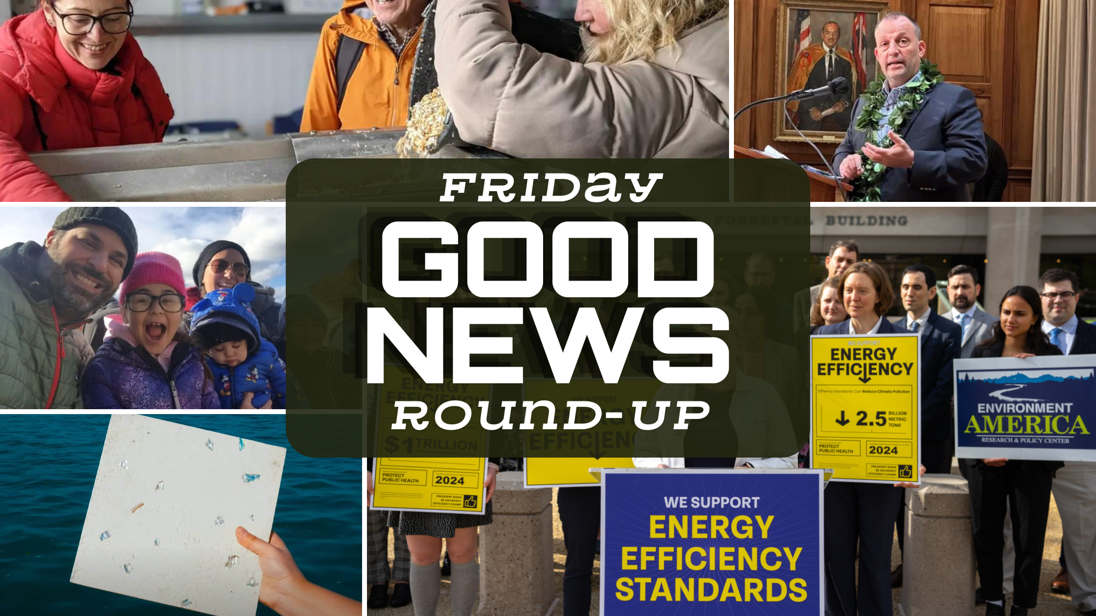 Friday Good News Round-Up: A Week of Positive Change