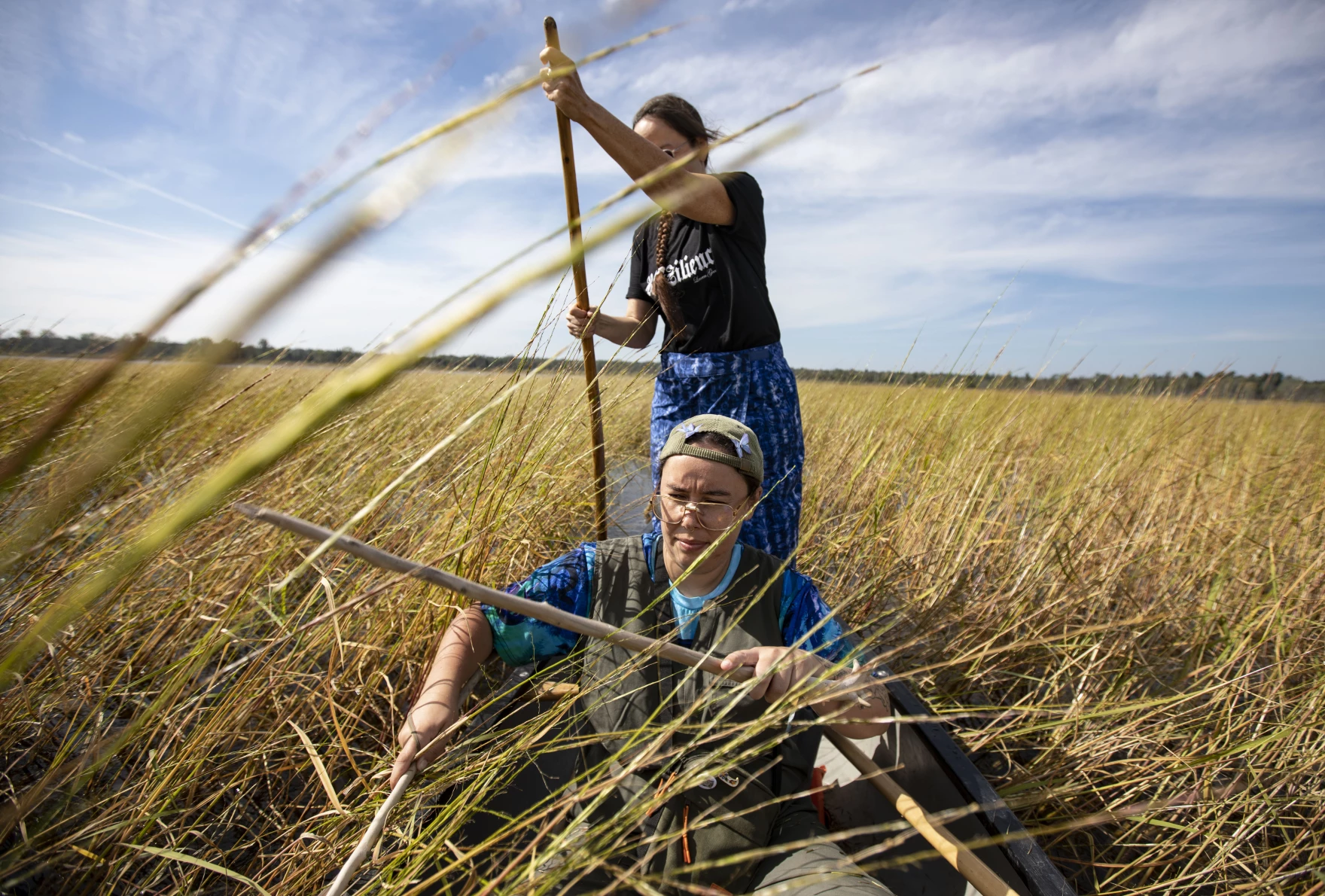 Reviving the Legacy of Wild Rice: Efforts to Protect and Sustain a Cultural Treasure in the U.S