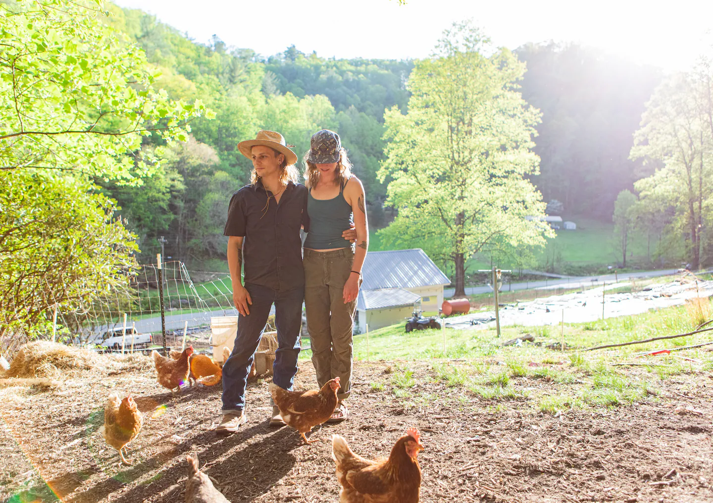Reviving the Homestead: Embracing Self-Sufficiency with Practical Tips for Getting Started