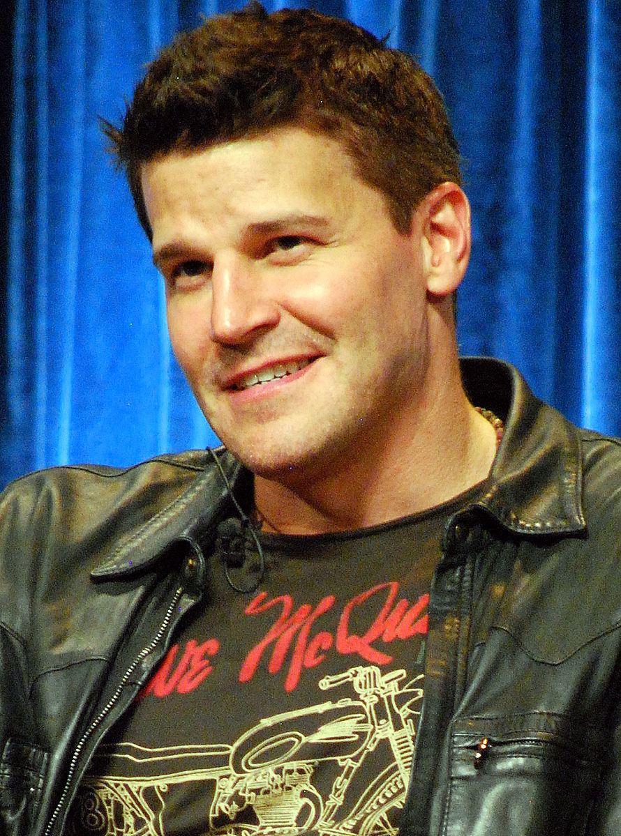 David Boreanaz