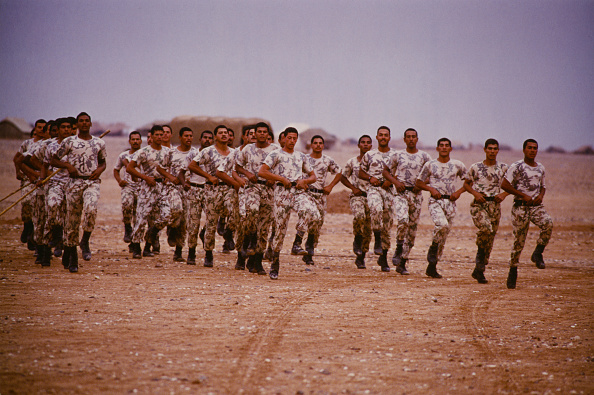 The Gulf War