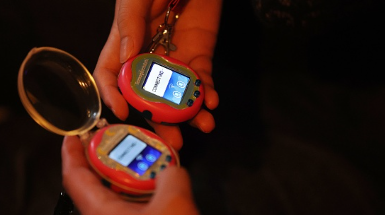 Digital pet