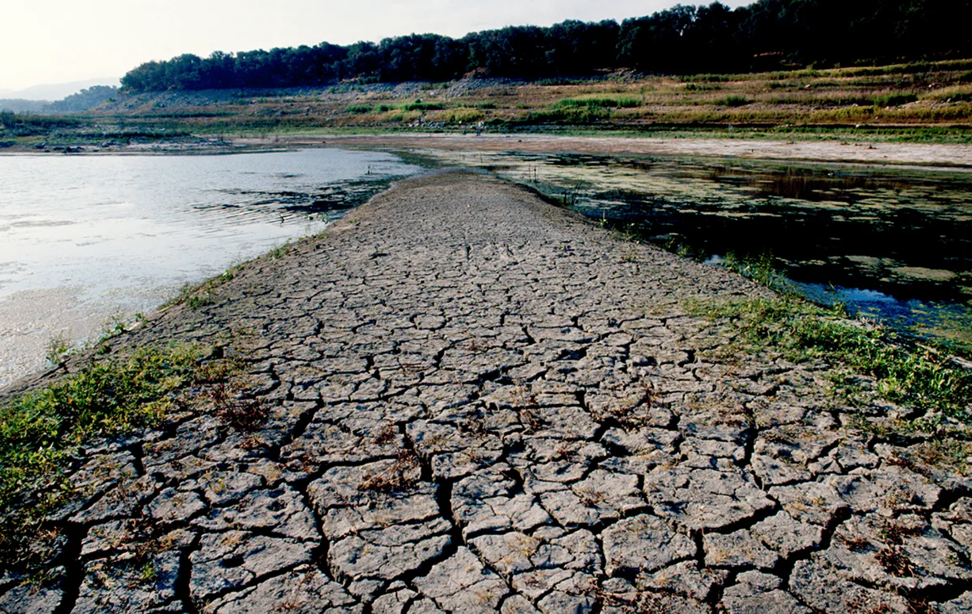 California's Droughts, A Decade-Long Struggle