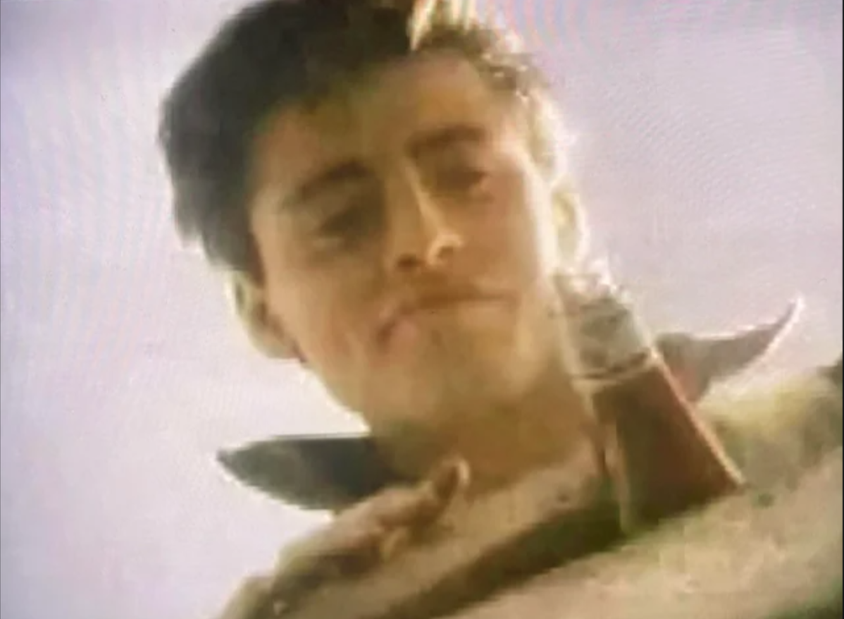 Matt LeBlanc, Heinz Ketchup