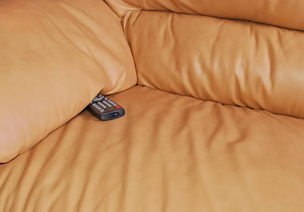 Your entertainment choices depended on a tiny plastic remote