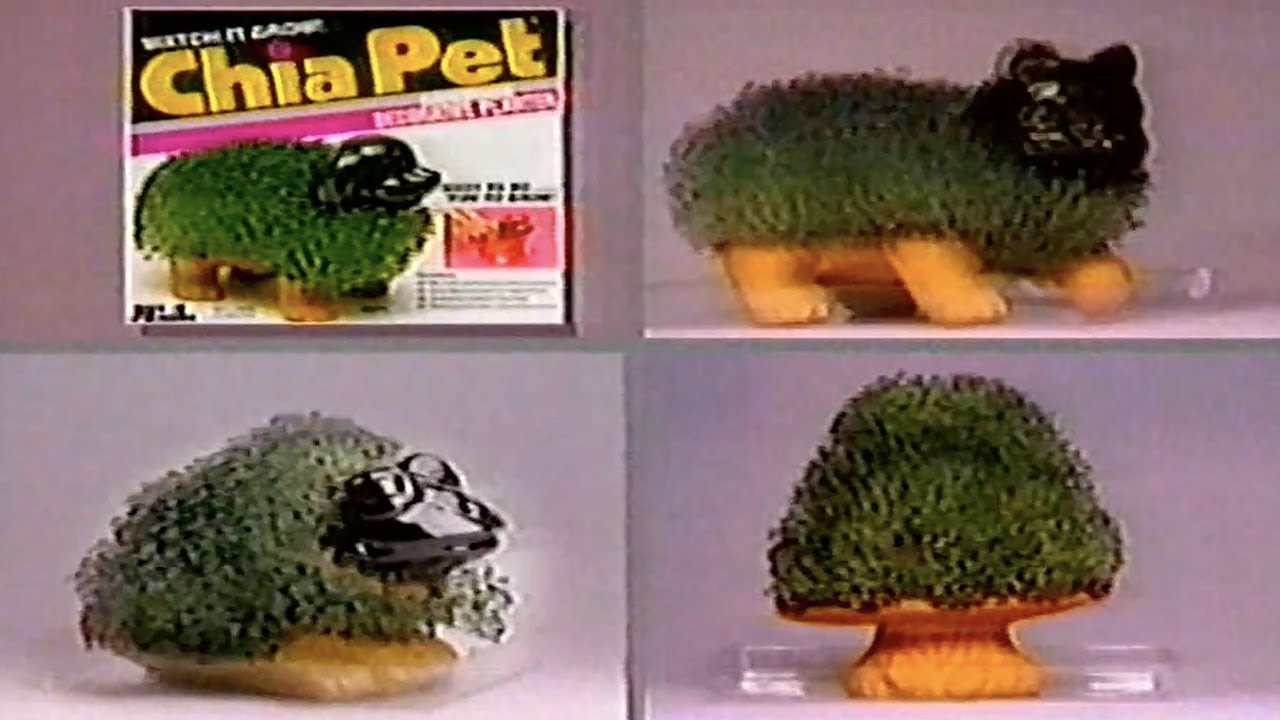 Ch-Ch-Ch-Chia!