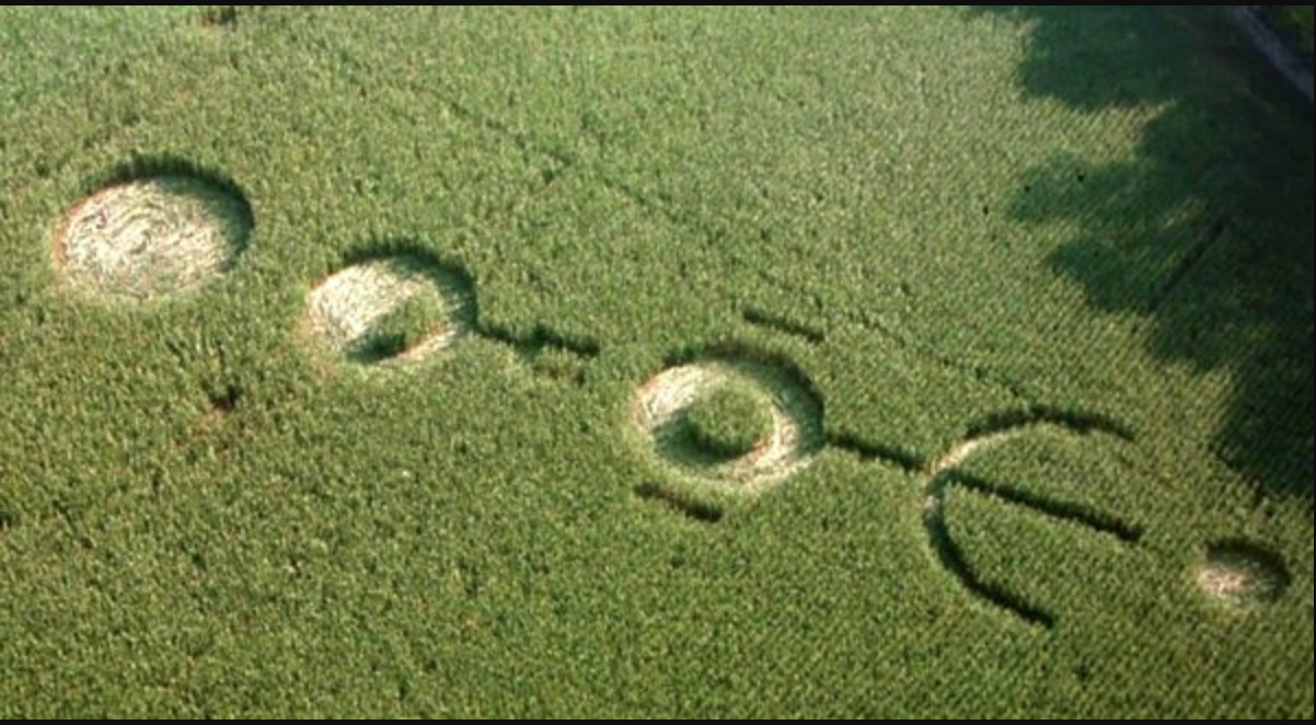 Crop Circles