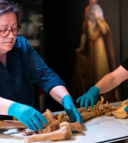 Unearthed 50 Viking skeletons at a burial site