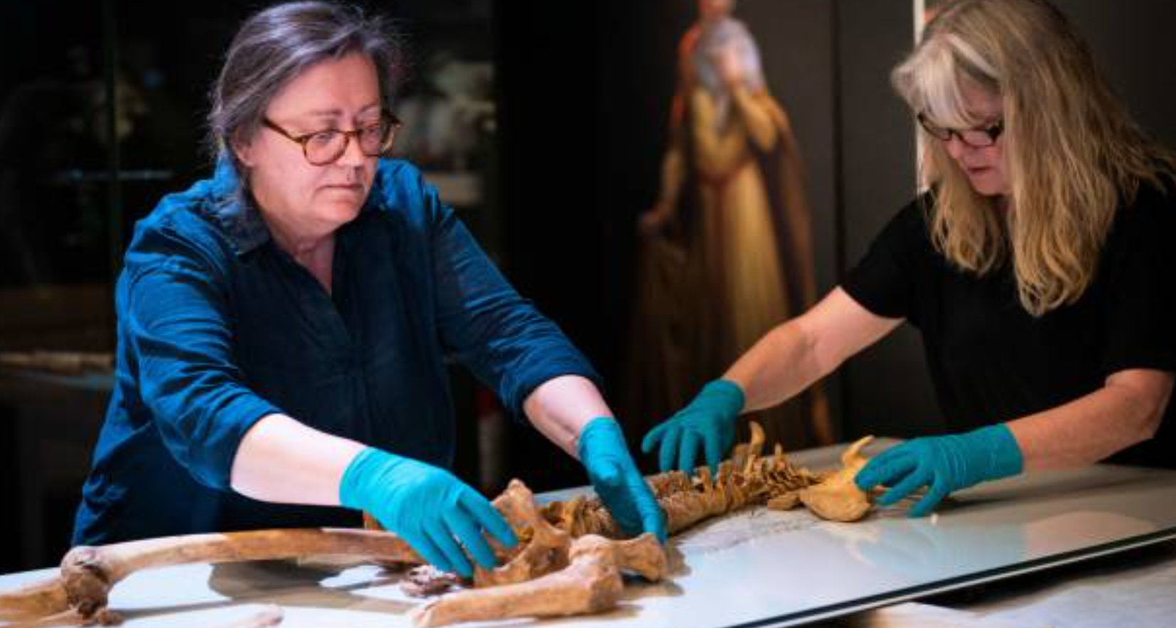 Unearthed 50 Viking skeletons at a burial site
