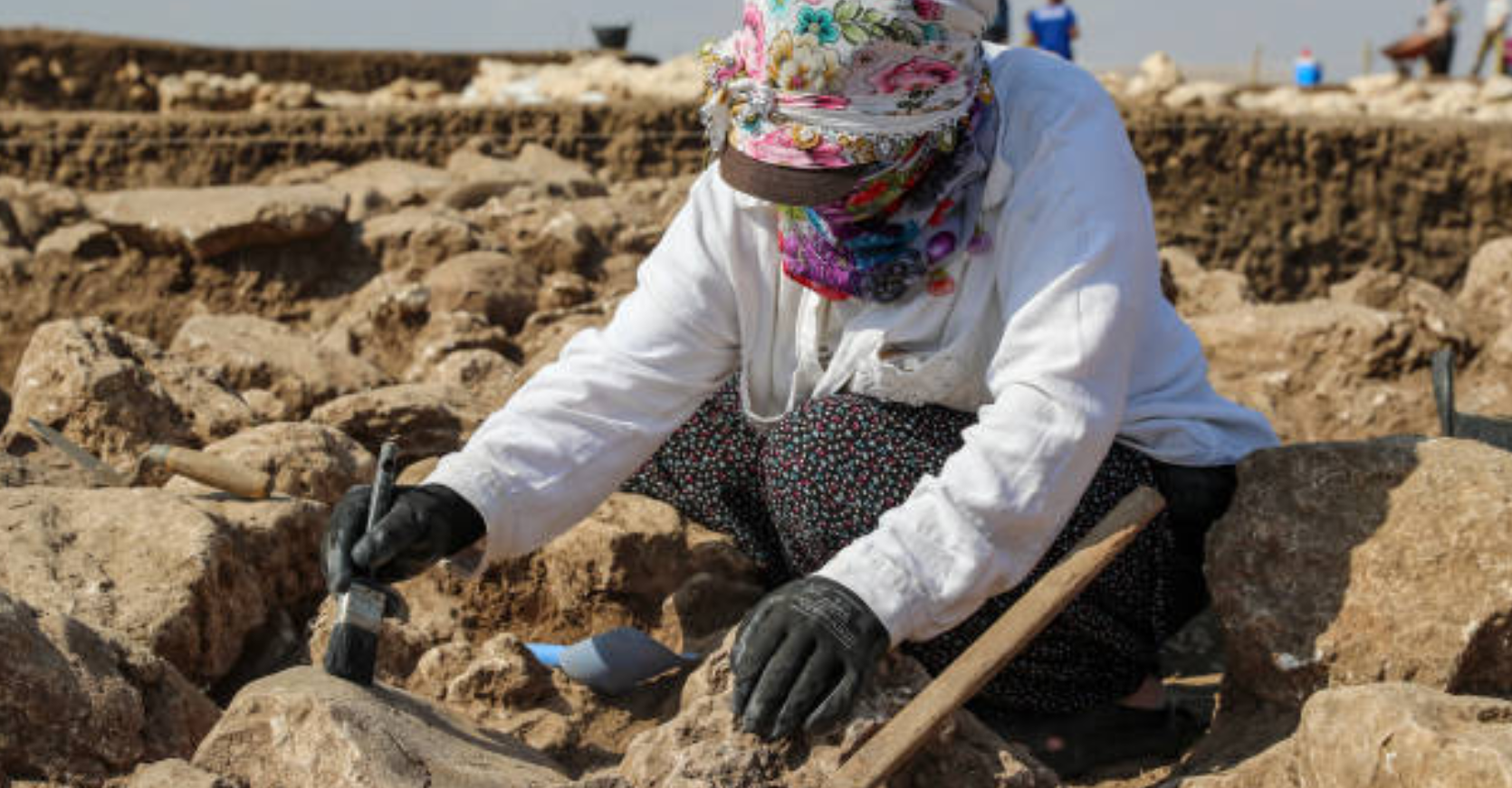 The use of a scale insect