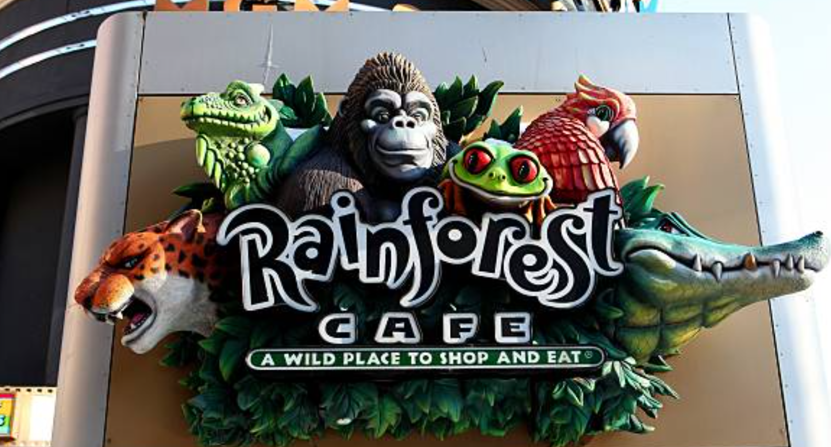 The Rainforest Café