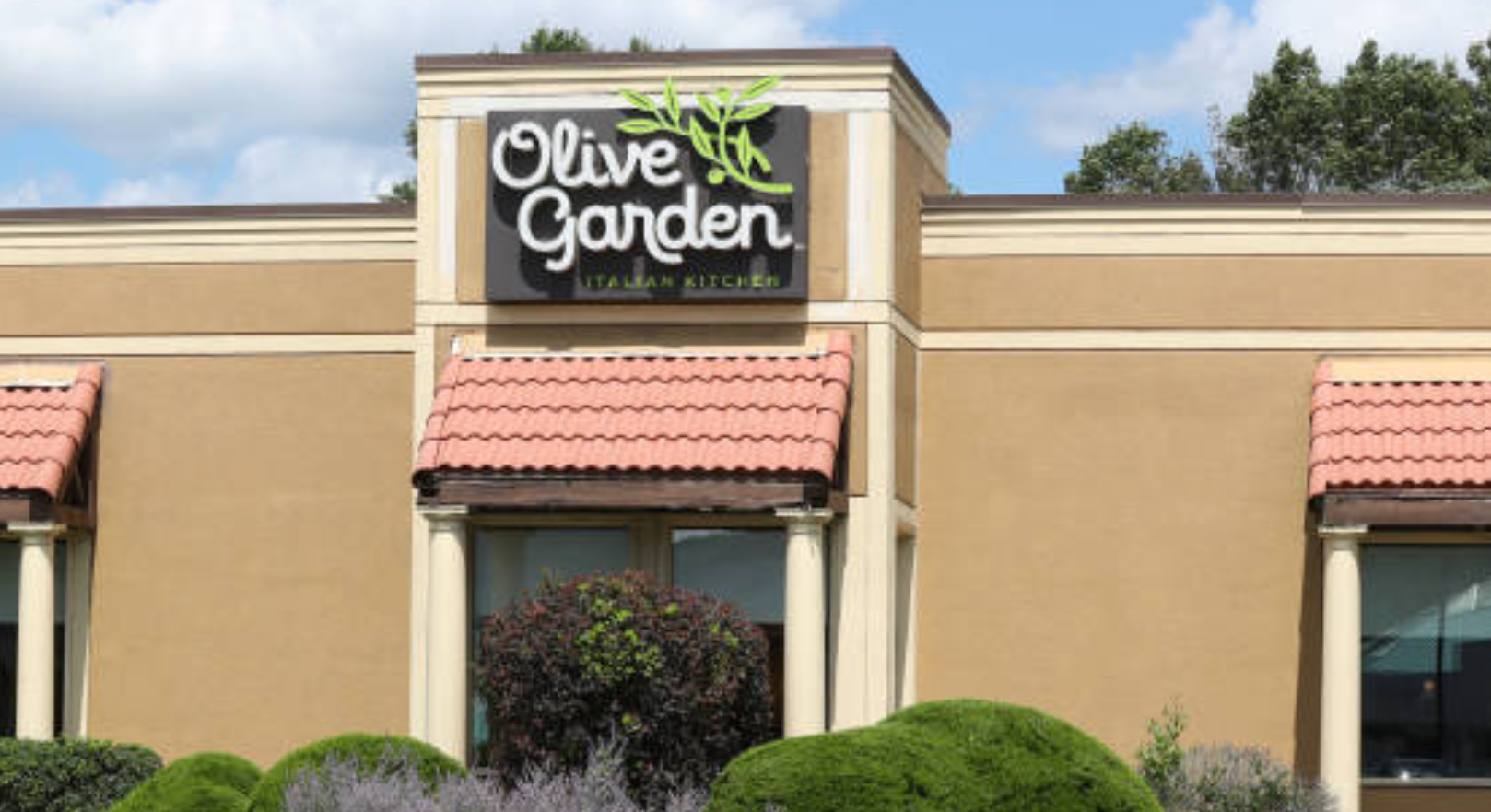 The Olive Garden