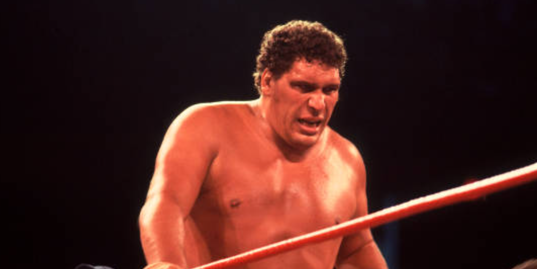 Rivalry with Andre the Giant