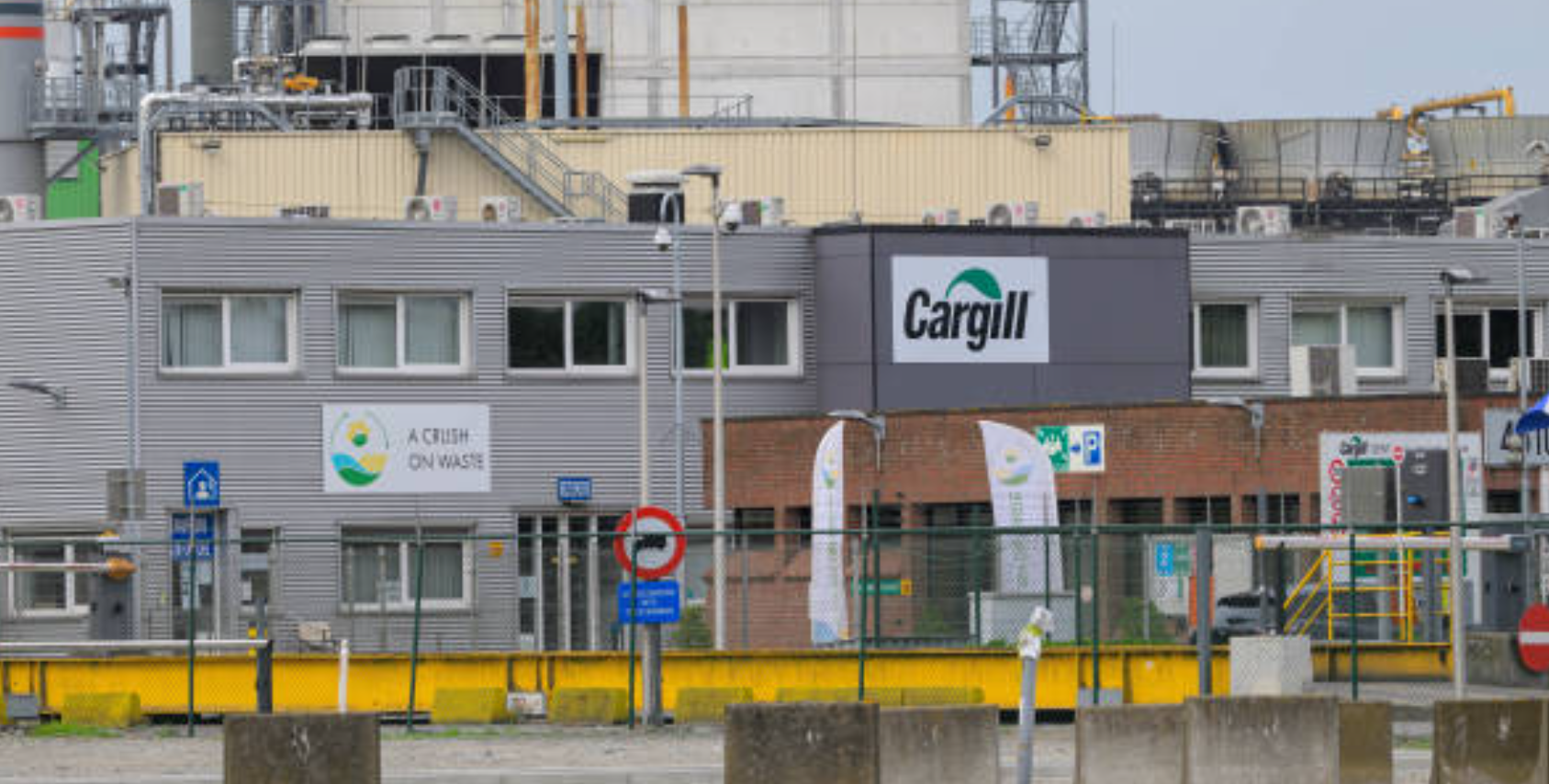 Focusing on grain trading