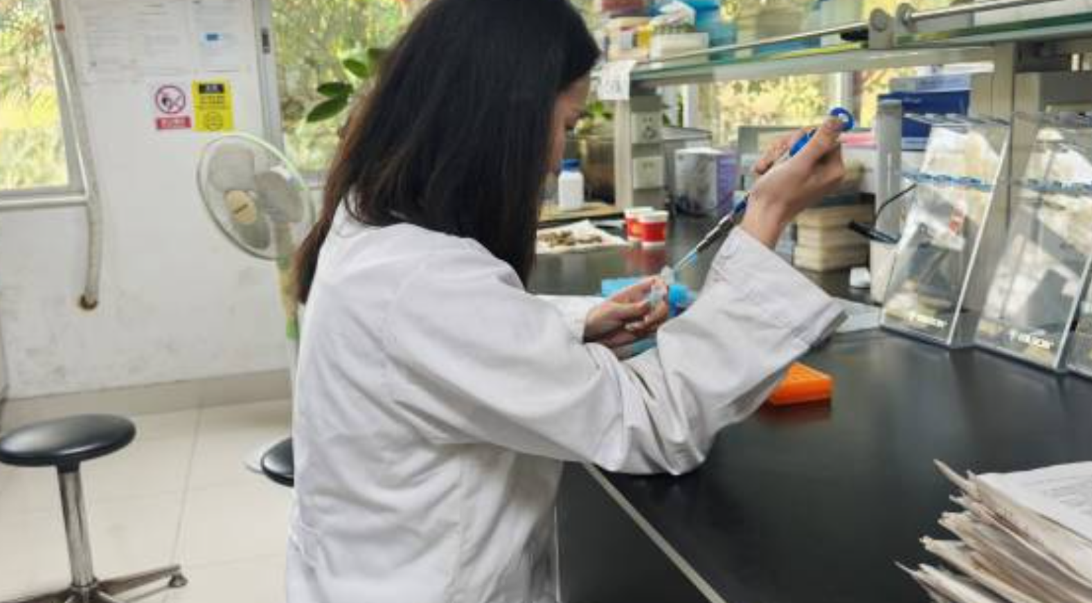 Primarily impacting the gut microbiome