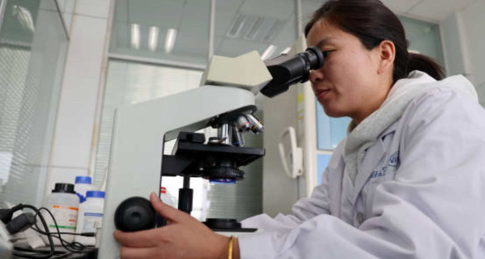 Absorbed into the bloodstream