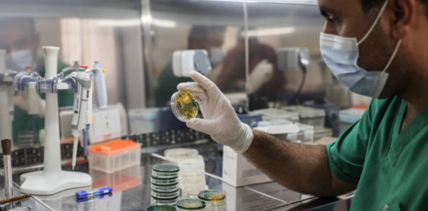 Breakthroughs anticipated in medicine